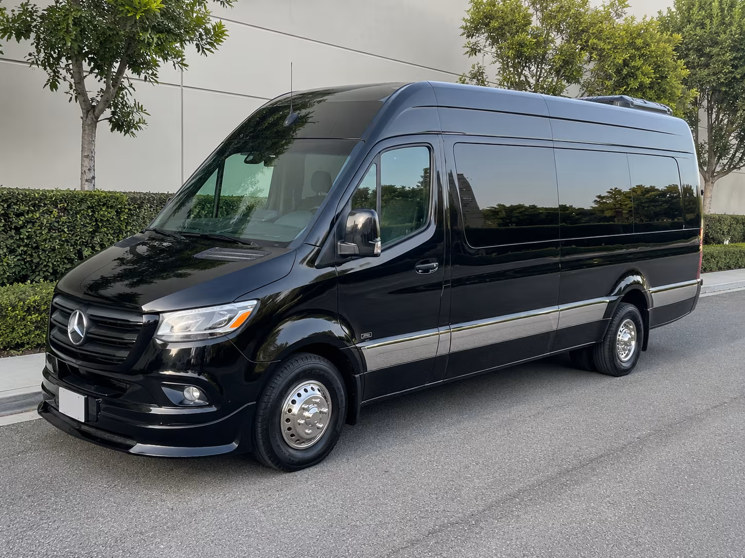 12 passenger sprinter van